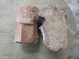 Pair of Large Petrified Wood Chunks