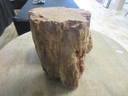 Pair of Large Petrified Wood Chunks