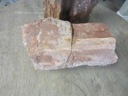 Pair of Large Petrified Wood Chunks
