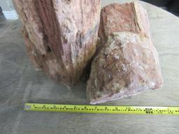 Pair of Large Petrified Wood Chunks