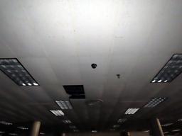 (23) Florescent Flush Mount Lights.