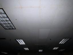 (23) Florescent Flush Mount Lights.