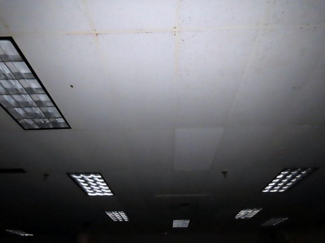 (23) Florescent Flush Mount Lights.
