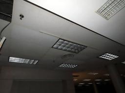 (30) Florescent Flush Mount Lights.