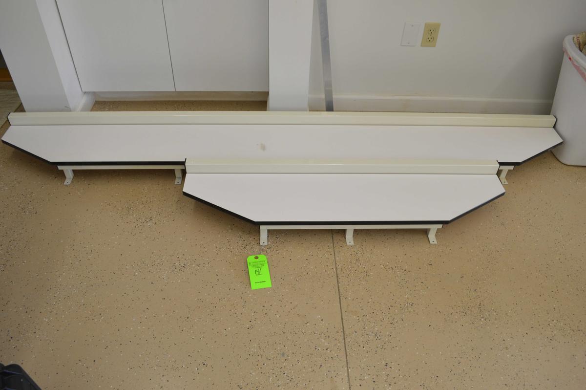 (2) Biesemeyer Saw Tables