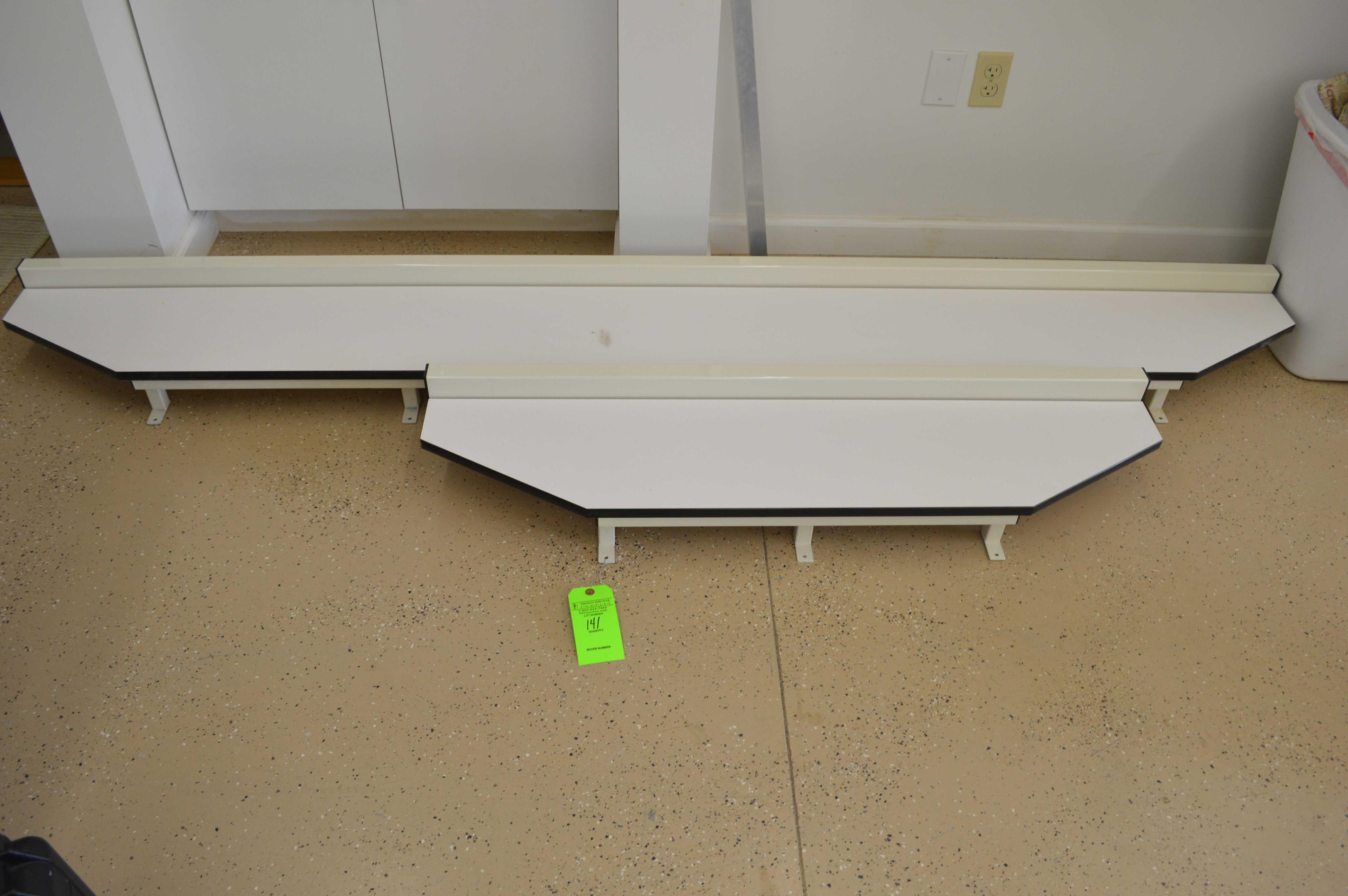(2) Biesemeyer Saw Tables