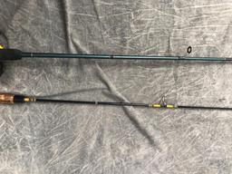 (2) Spinning Rods with Reels