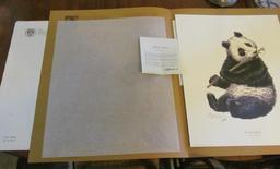Guy Coheleach signed Giant Panda 1972 Print
