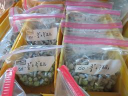 Qty #5 & Other Bolts, & Nuts