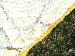Chenille Double Peacock Bed Spread