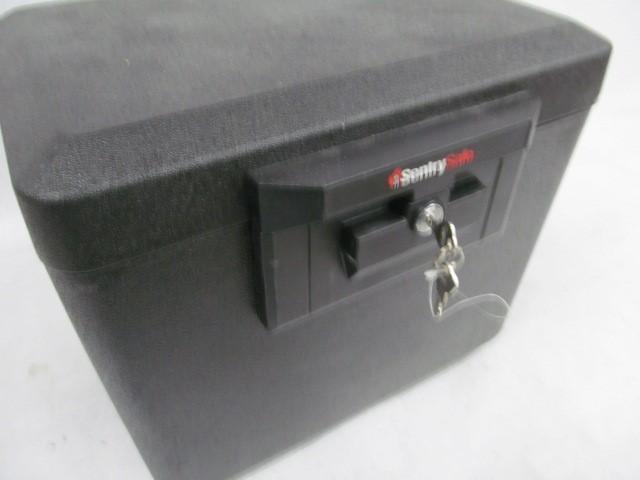 Sentry Safe #6