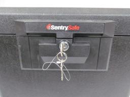 Sentry Safe #6