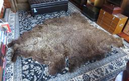 Bear Area Rug
