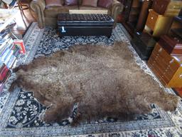 Bear Area Rug