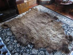 Bear Area Rug