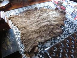 Bear Area Rug
