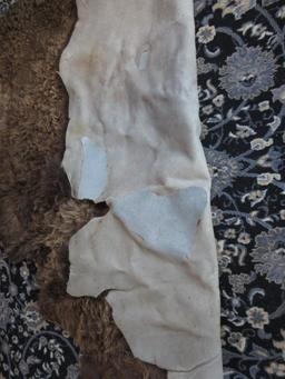Bear Area Rug