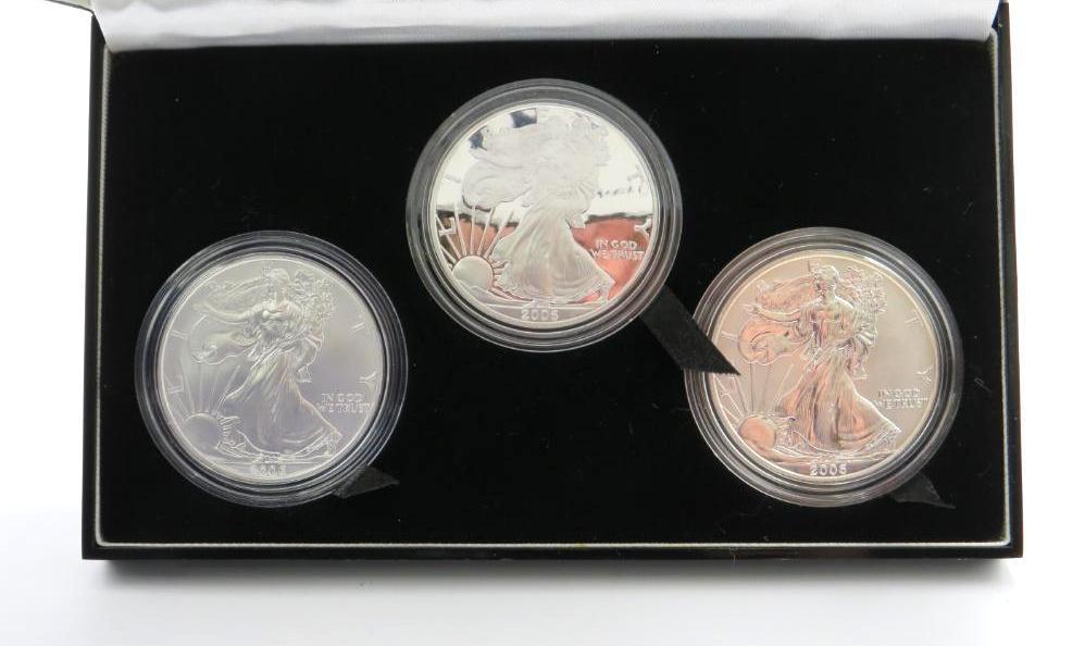 U.S. American Eagle 20th Anniversary Silver Coin Set