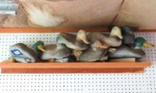 (6) Poly Duck Decoys