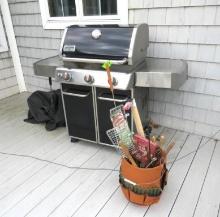 Weber 3-Burner SS & Enameled Propane Grill