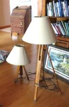 Floor & Table Lamp