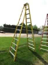 Werner Electro-Master 12' Fiberglass Ladder