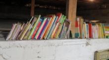 Quantity of Children's Story Books