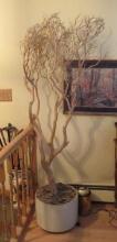 Decorative Planted Tree