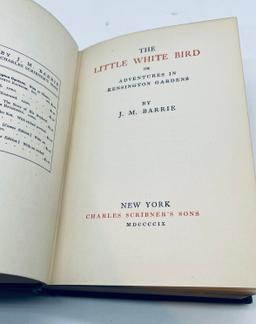 RARE The Little White Bird or Adventures In Kensington Gardens (1902) FIRST EDITION PETER PAN