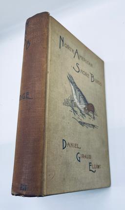 NORTH AMERICAN SHORE BIRDS: A History of the Snipes, Sandpipers, Plovers and their Allies (1895)