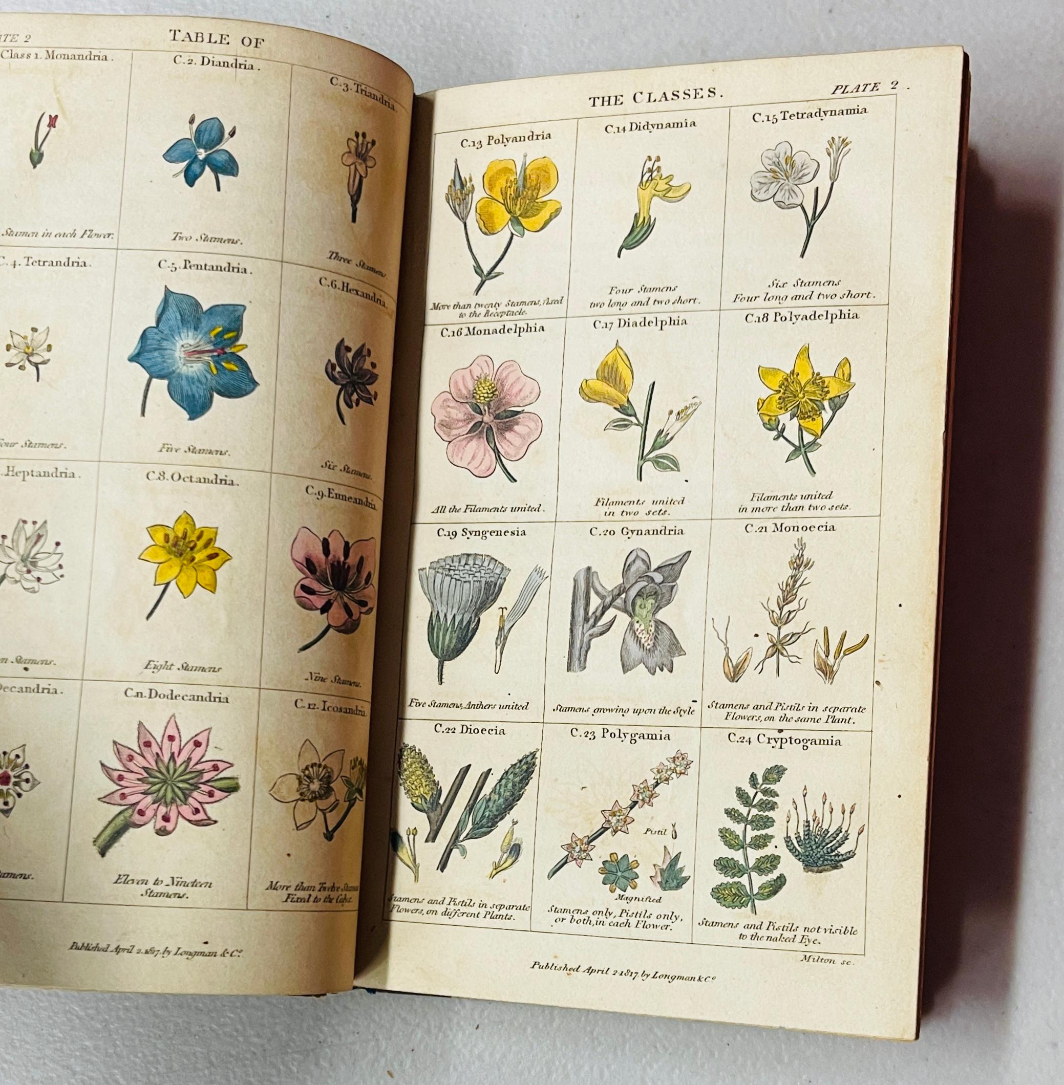 RARE Conversations on Botany (1818) with 20 Hand Colored Plates