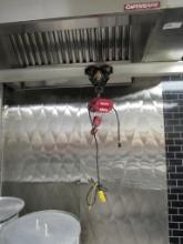 DAYTON 500LB HOIST WITH RAILING