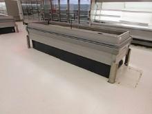 KYSOR WARREN LD11-5U LOW TEMP FROZEN FOOD ISLAND CASE '00 - REMOTE COOLED NO COMPRESSOR
