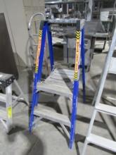 2FT WERNER LADDER