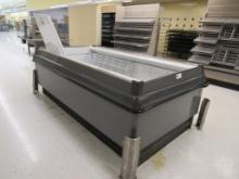8FT HILL/PHOENIX OIZISLAND FREEZER CASE 2011 - REMOTE COOLED, NO COMPRESSOR