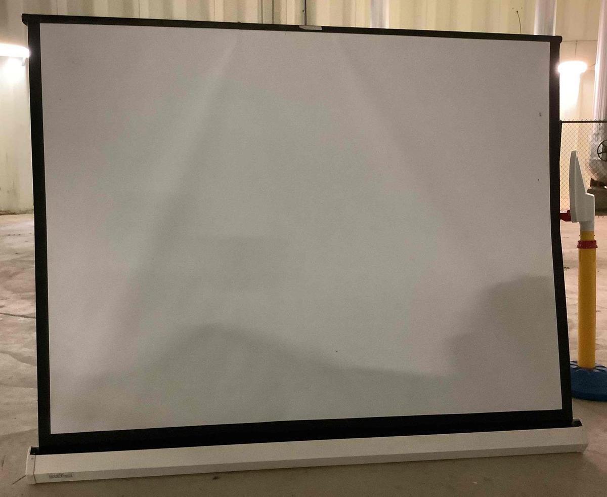 Da-Lite Projection Screen