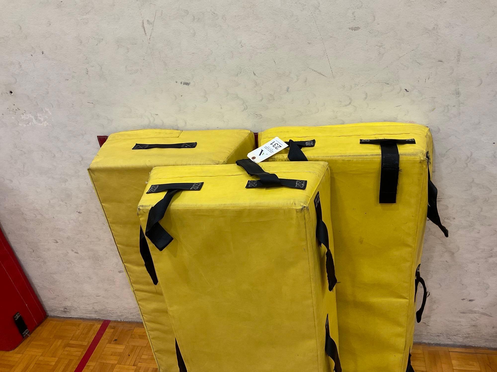 Gymnast Pads