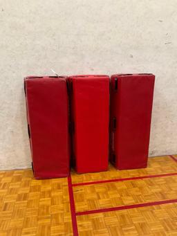 Tiffin Training Mats
