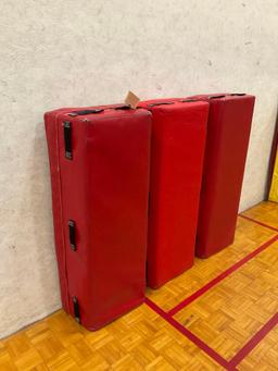Tiffin Training Mats