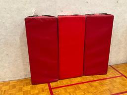 Tiffin Training Mats