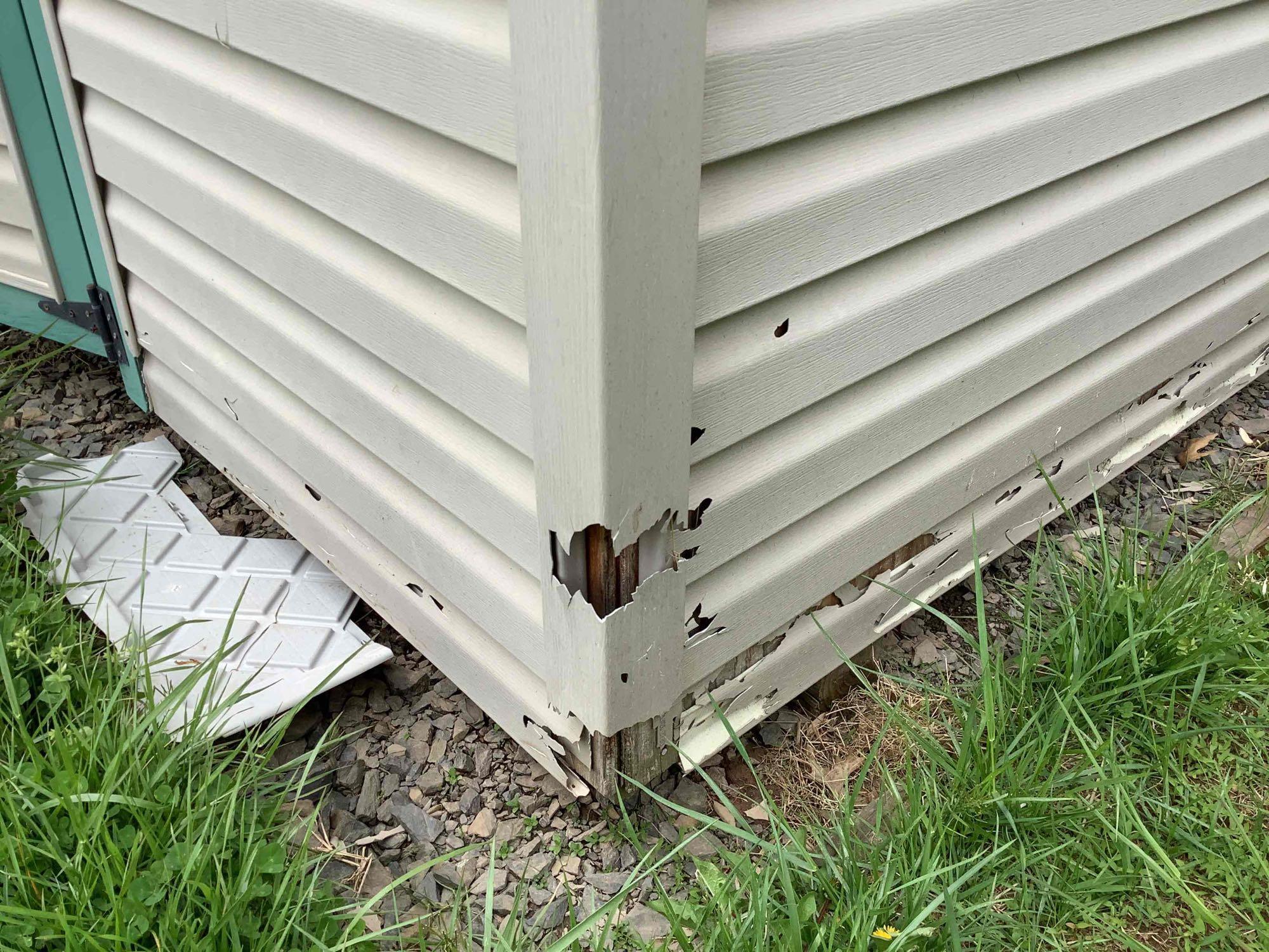 Shed