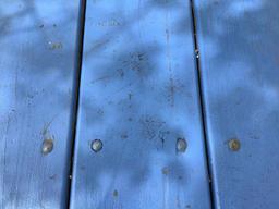 Blue Picnic Table