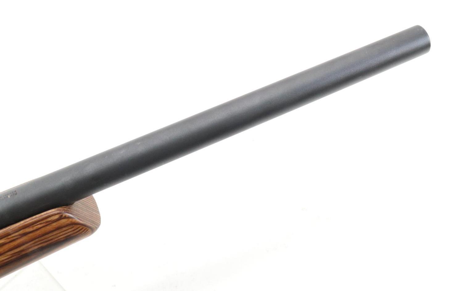 Remington Model 597 Semi Automatic Rifle
