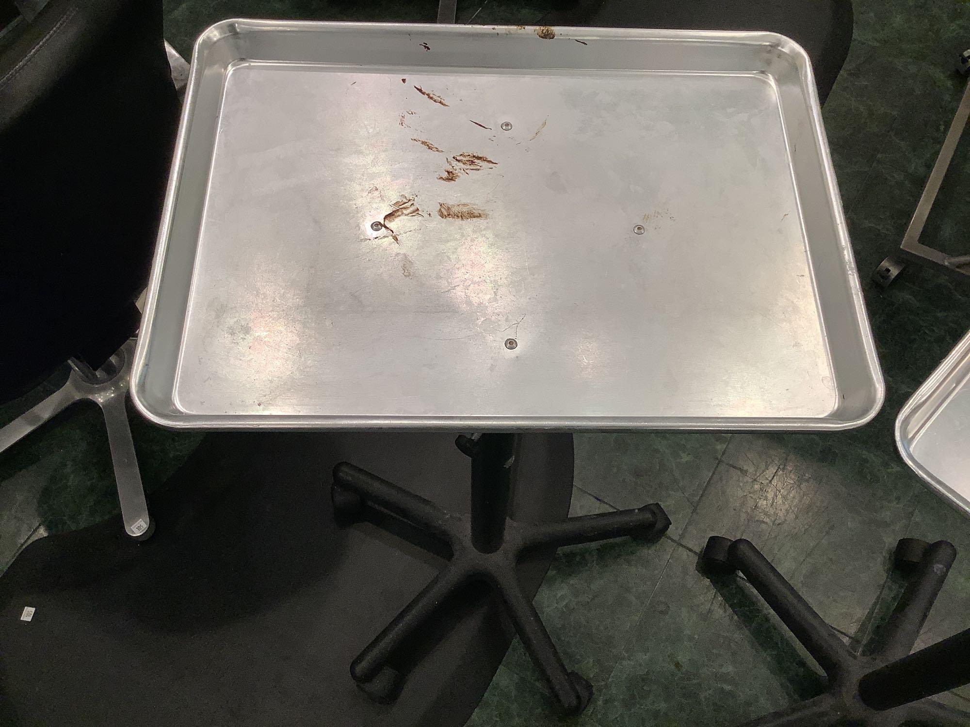 Rolling Tray Carts