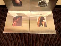 Brushed Chrome Frames