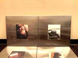 Brushed Chrome Frames