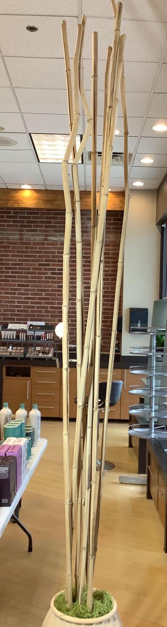 Planter with Bamboo