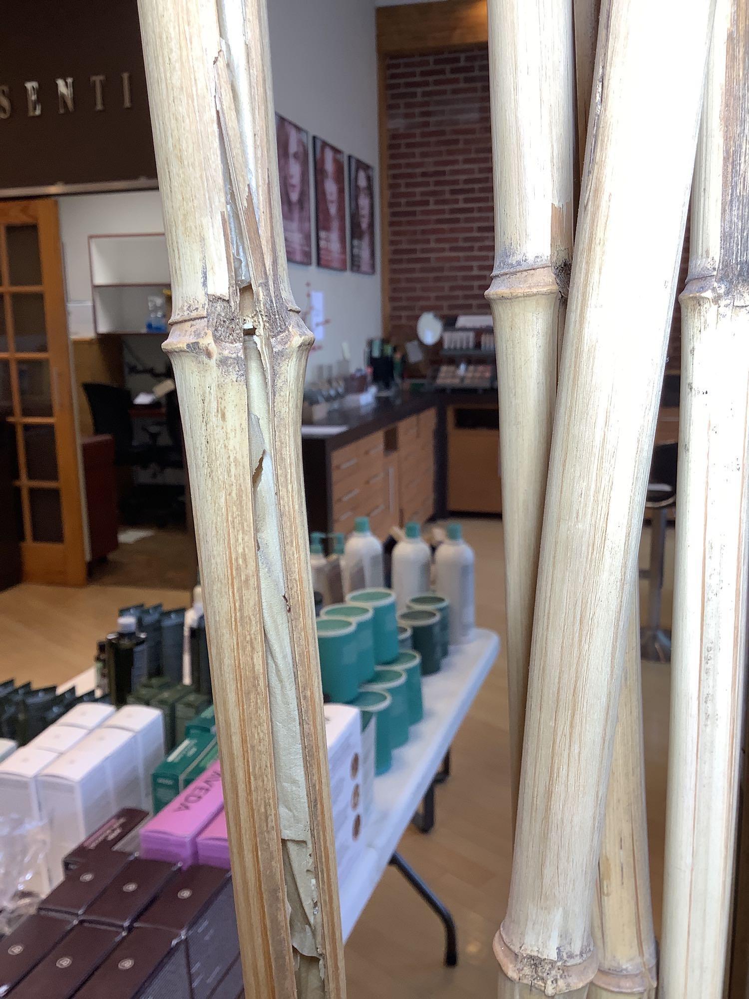 Planter with Bamboo