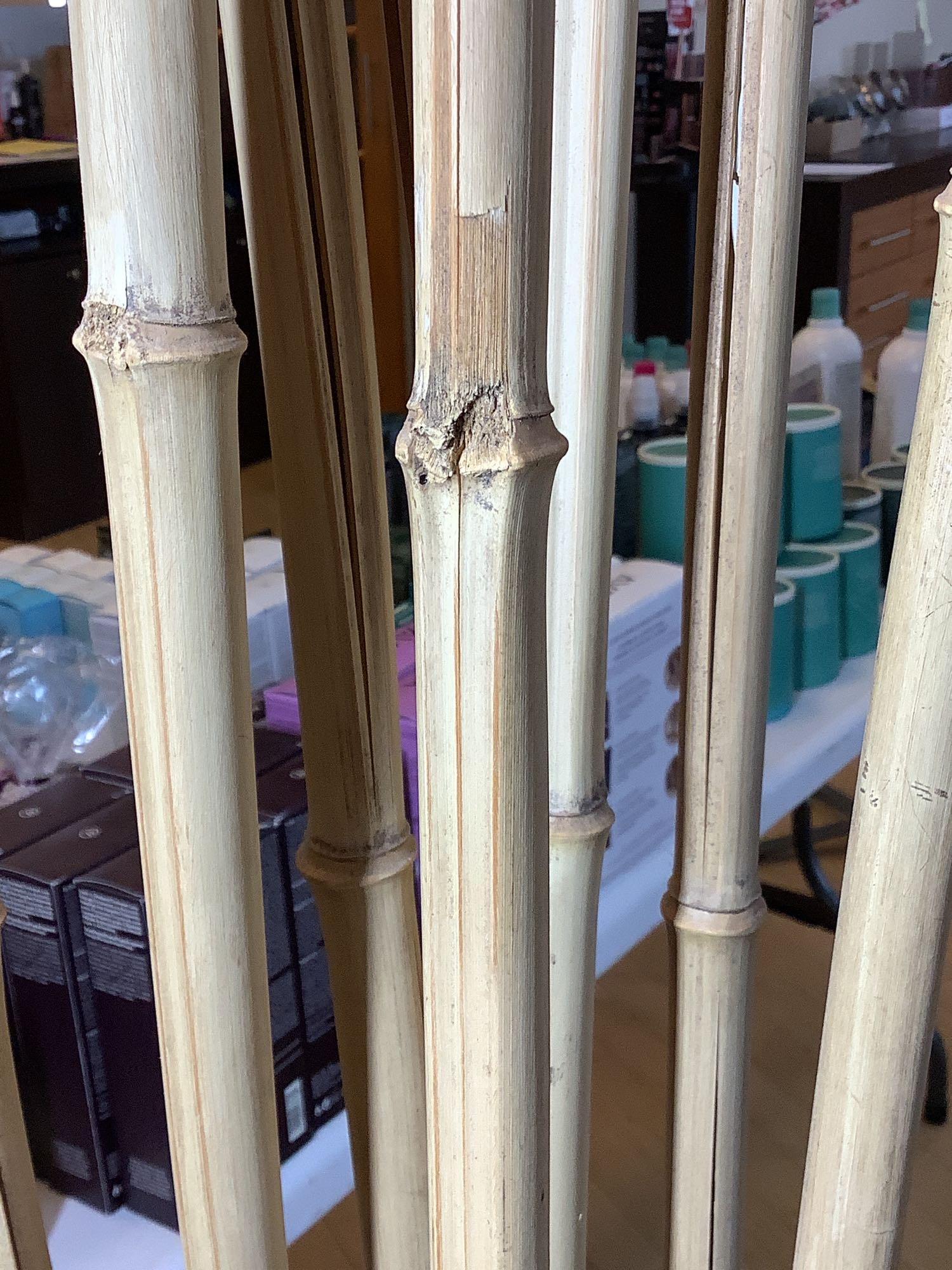 Planter with Bamboo