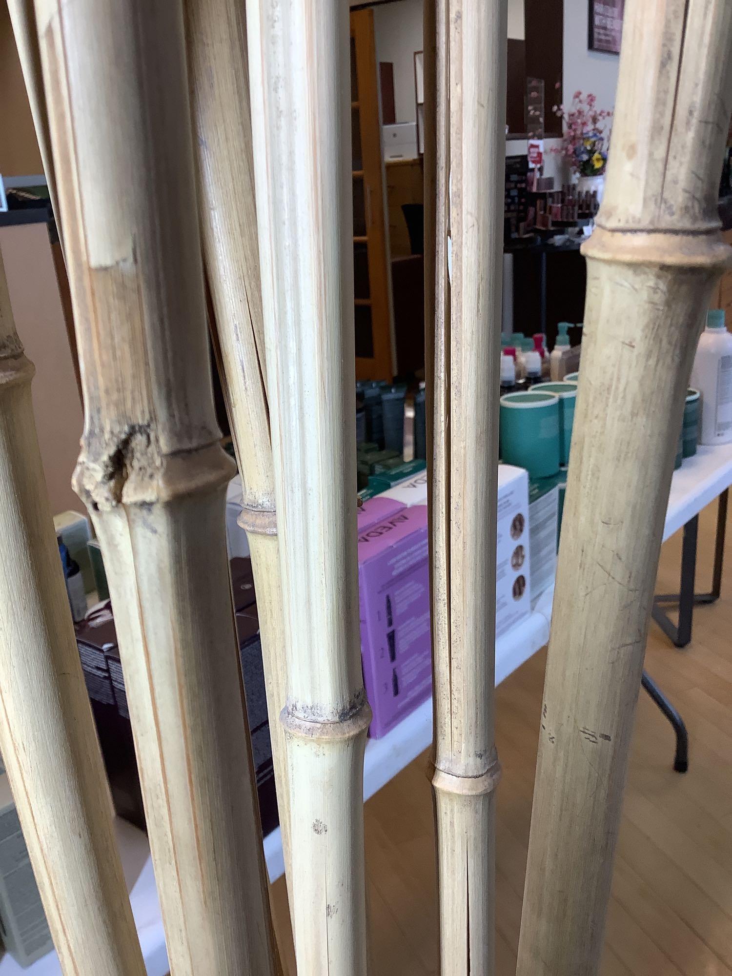Planter with Bamboo